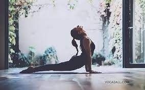 Yoga_1  H x W: 